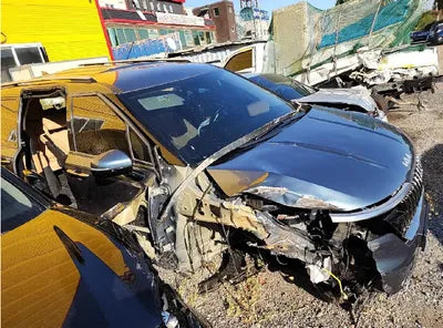 2022 Kia Carnival KNANC81BBNS149251 VIN:KNANC81BBNS149251