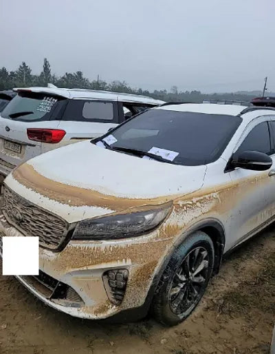 2019 Kia Sorento KNAPK81ABKA486663 VIN:KNAPK81ABKA486663