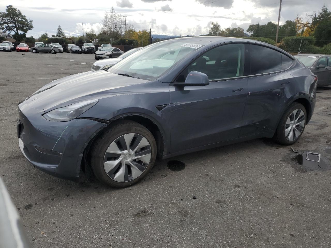 2023 TESLA MODEL Y  VIN:7SAYGDEE0PF695329