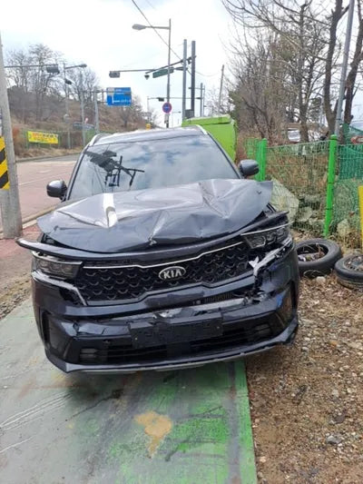 2021 Kia Sorento KNARL81BGMA103199 VIN:KNARL81BGMA103199
