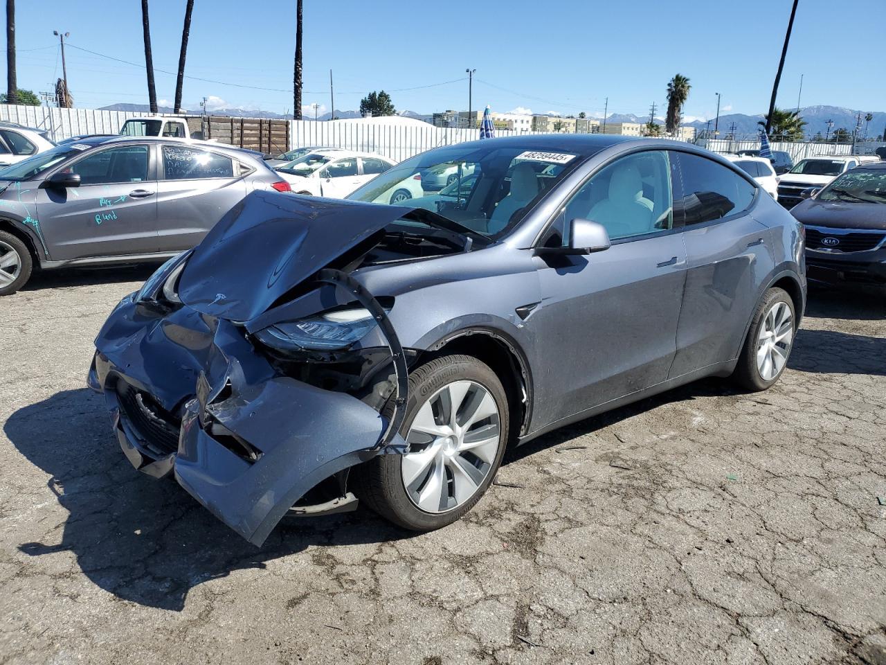 2022 TESLA MODEL Y  VIN:7SAYGDEE1NF391553