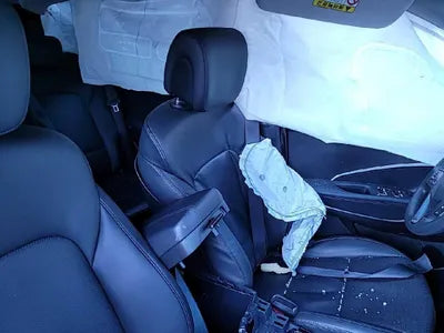 2017 Hyundai Santa FE KMHSU81UBJU820207 VIN:KMHSU81UBJU820207