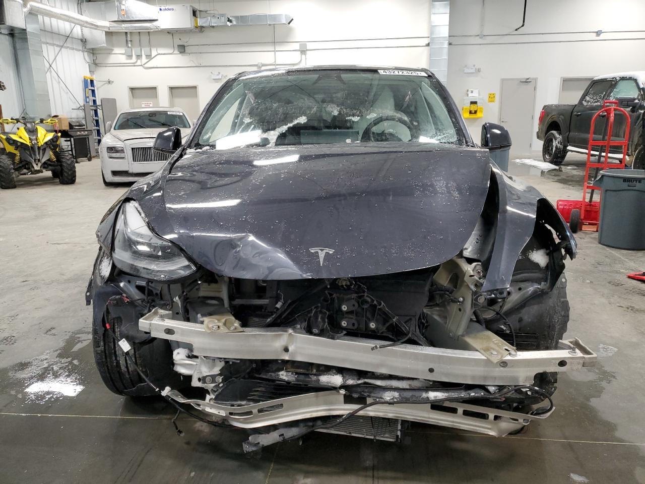 2024 TESLA MODEL Y  VIN:7SAYGDEE4RF081502