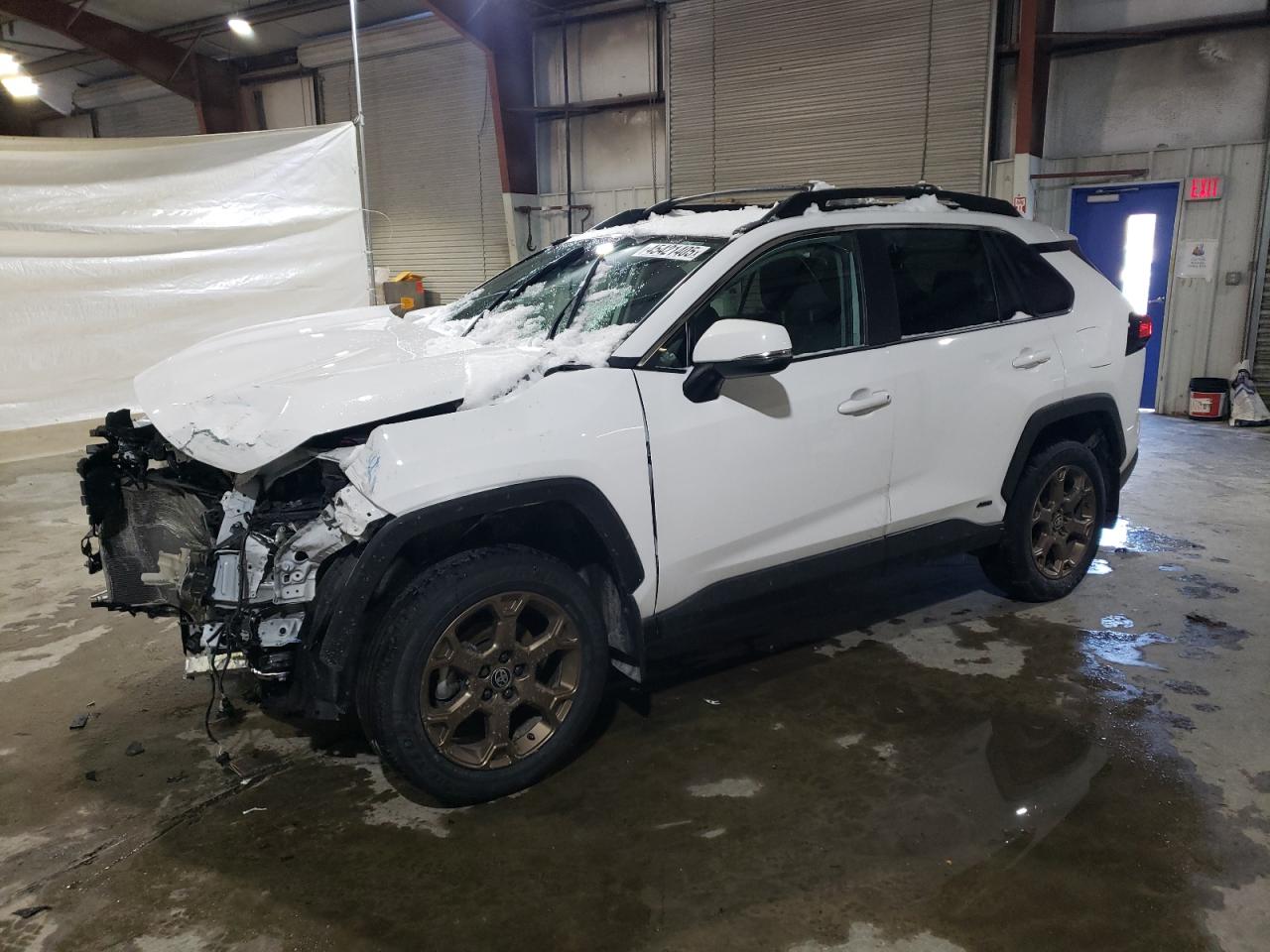 2023 TOYOTA RAV4 WOODLAND EDITION VIN:2T3UWRFV7PW170904