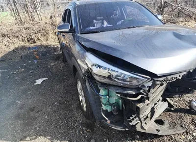 2017 Hyundai Tucson KMHJ3815GHU348229 VIN:KMHJ3815GHU348229