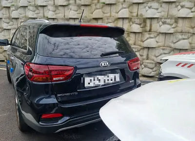 2019 Kia Sorento KNAPG81ABKA518571 VIN:KNAPG81ABKA518571