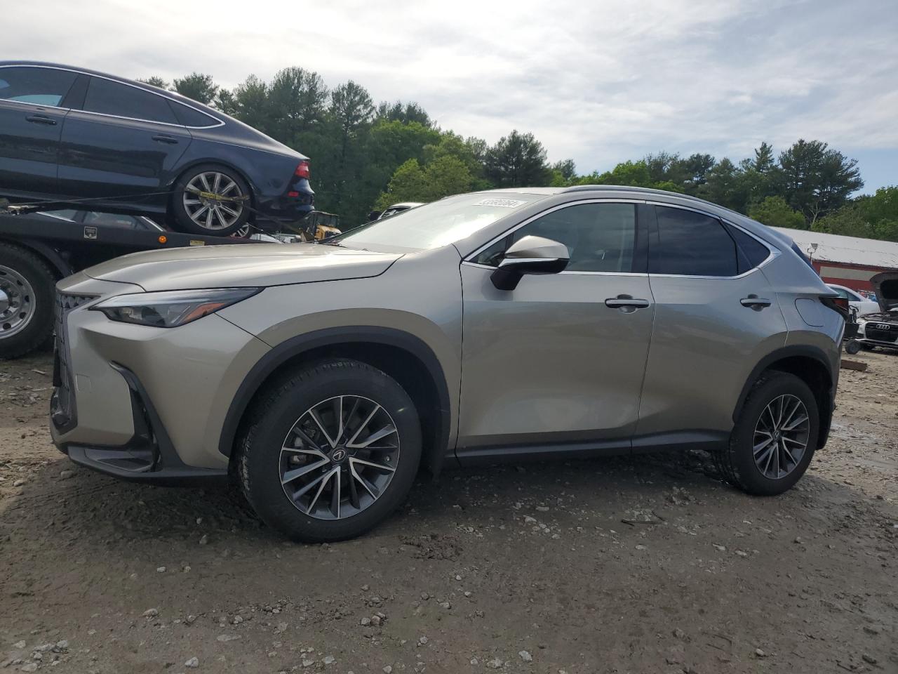 2023 LEXUS NX 350 VIN:2T2AGCEZ4PC031160