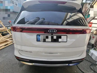 2020 Kia Carnival KNANC81BBMS015175 VIN:KNANC81BBMS015175