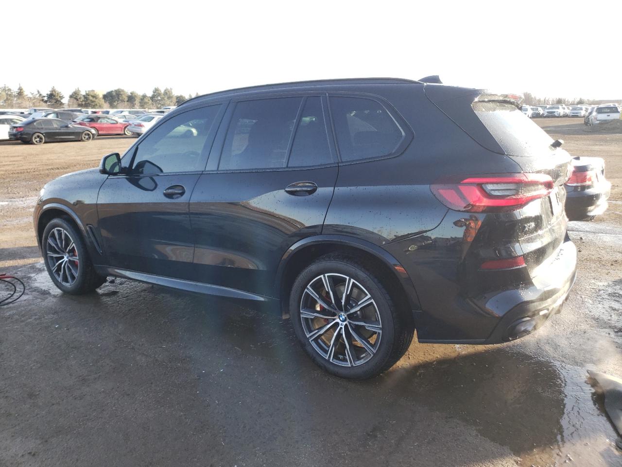 2023 BMW X5 XDRIVE40I VIN:5UXCR6C04P9P50636