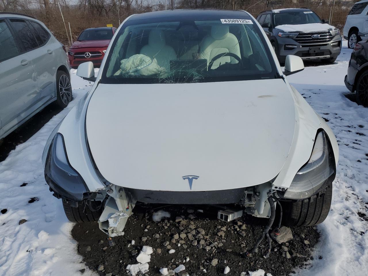 2024 TESLA MODEL Y  VIN:7SAYGDEE0RA308715