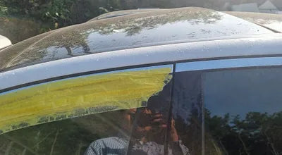 2019 Mercedes-Benz E 300 WDDZF4JBXKA697810 VIN:WDDZF4JBXKA697810