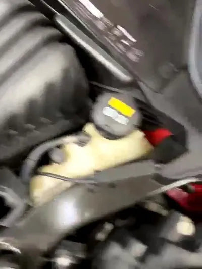 2021 MINI Cooper WMWXV7109M2N87068 VIN:WMWXV7109M2N87068