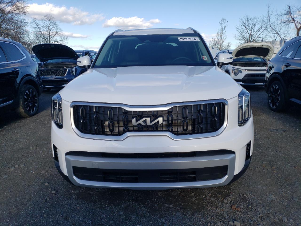 2024 KIA TELLURIDE EX VIN:5XYP3DGCXRG551136
