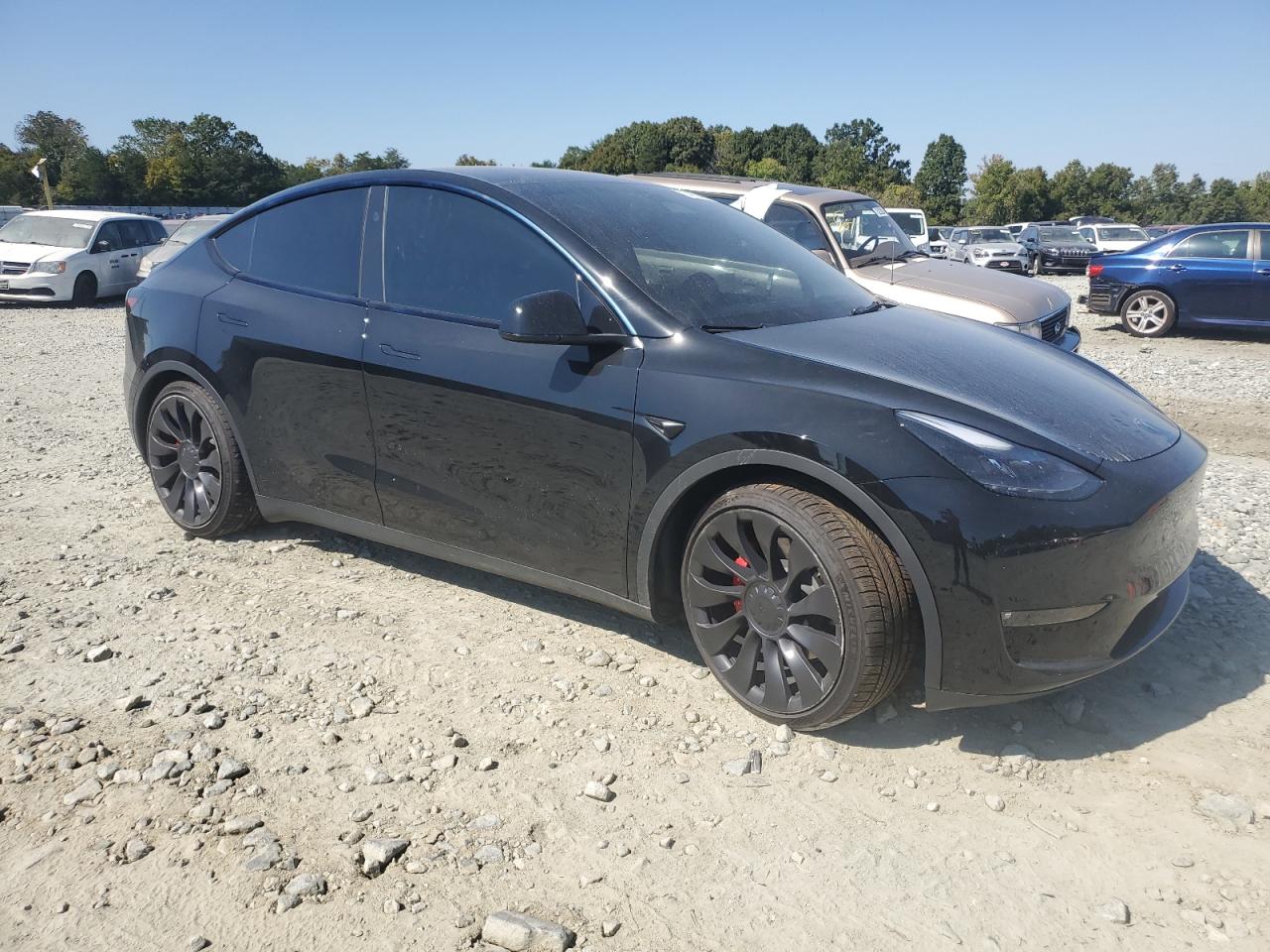 2023 TESLA MODEL Y  VIN:7SAYGDEF9PF916094