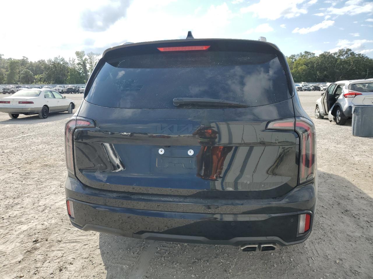 2024 KIA TELLURIDE EX VIN:5XYP3DGC7RG455397