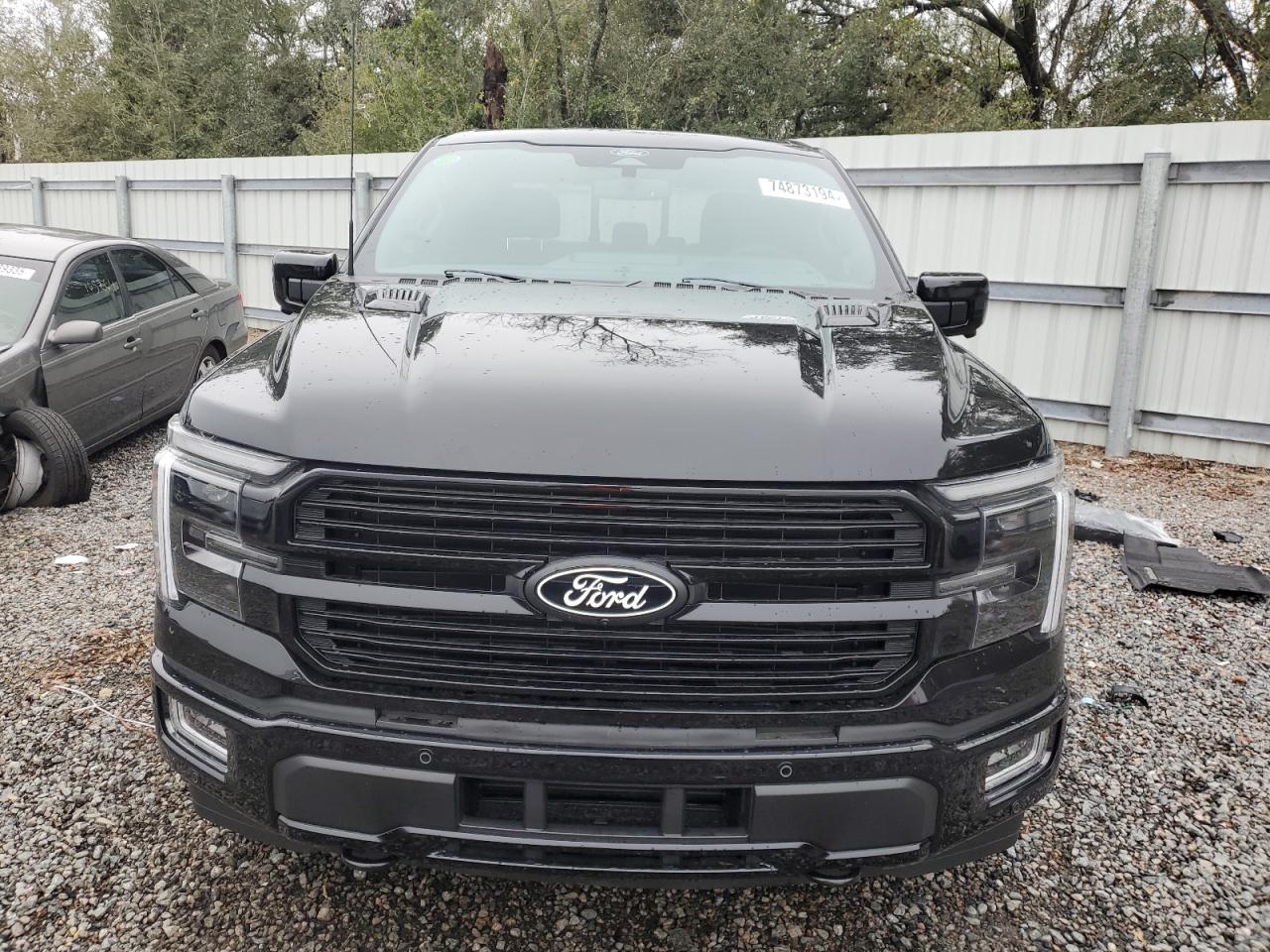2024 FORD F150 PLATINUM VIN:1FTFW7L8XRFA82719