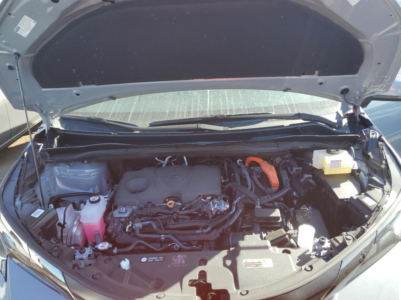 2024 TOYOTA SIENNA XSE VIN:5TDCSKFC5RS123212