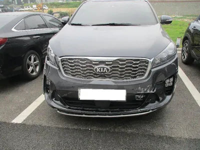 2019 Kia Sorento KNAPH81BBLA599043 VIN:KNAPH81BBLA599043