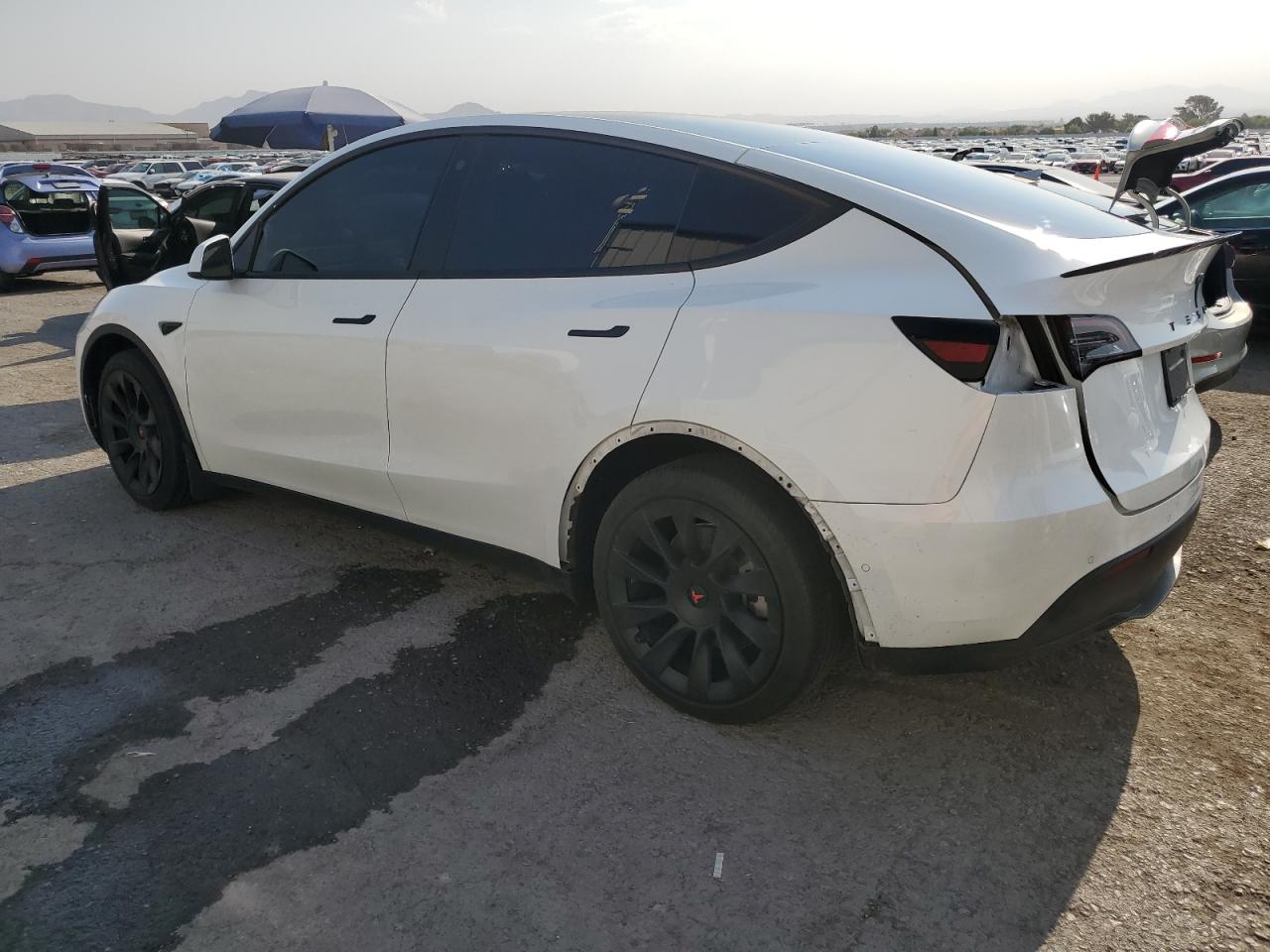 2022 TESLA MODEL Y  VIN:7SAYGDEE9NF312436