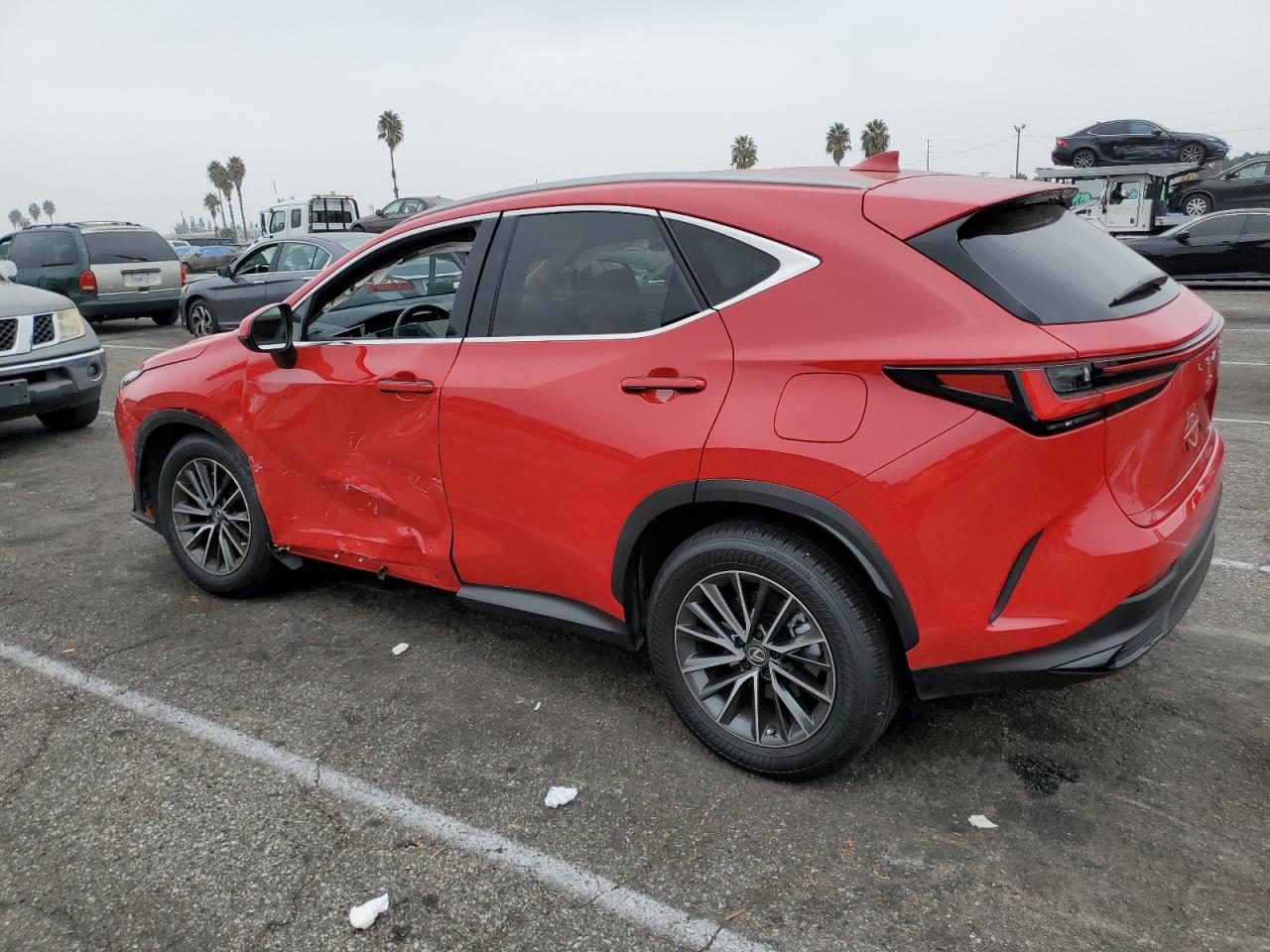 2024 LEXUS NX 250 BASE VIN:JTJADCAZ3R2009717