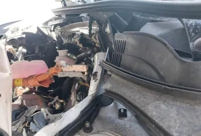 2021 Hyundai Kona KMHK381EGNU076135 VIN:KMHK381EGNU076135