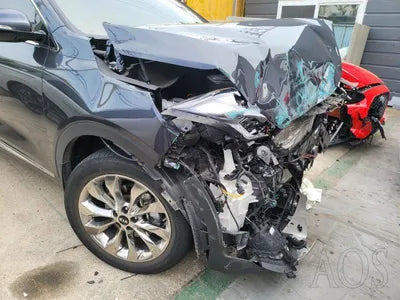 2019 Kia Sorento KNAPS81ABLA607195 VIN:KNAPS81ABLA607195
