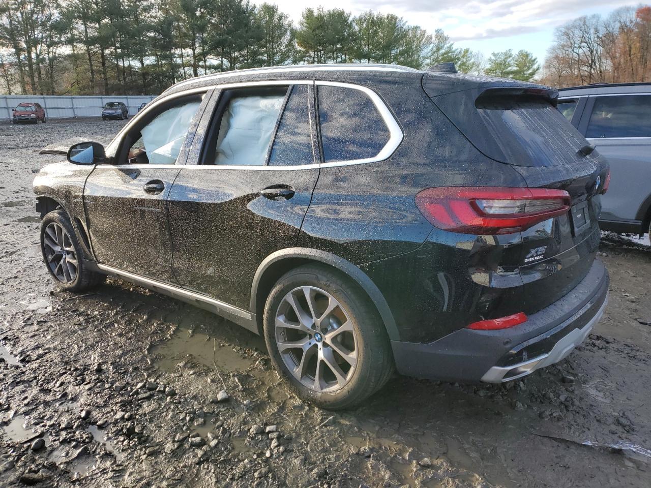 2023 BMW X5 XDRIVE40I VIN:5UXCR6C05P9P23218
