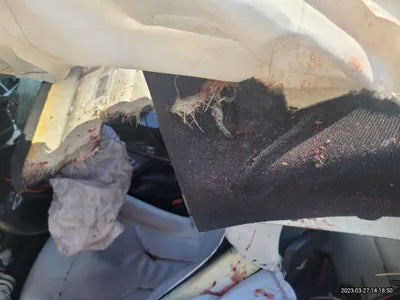 2020 BMW M4 000KMWBS4Y910XLFH VIN:000KMWBS4Y910XLFH