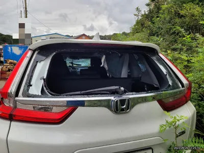 2019 Honda CR-V VIN: