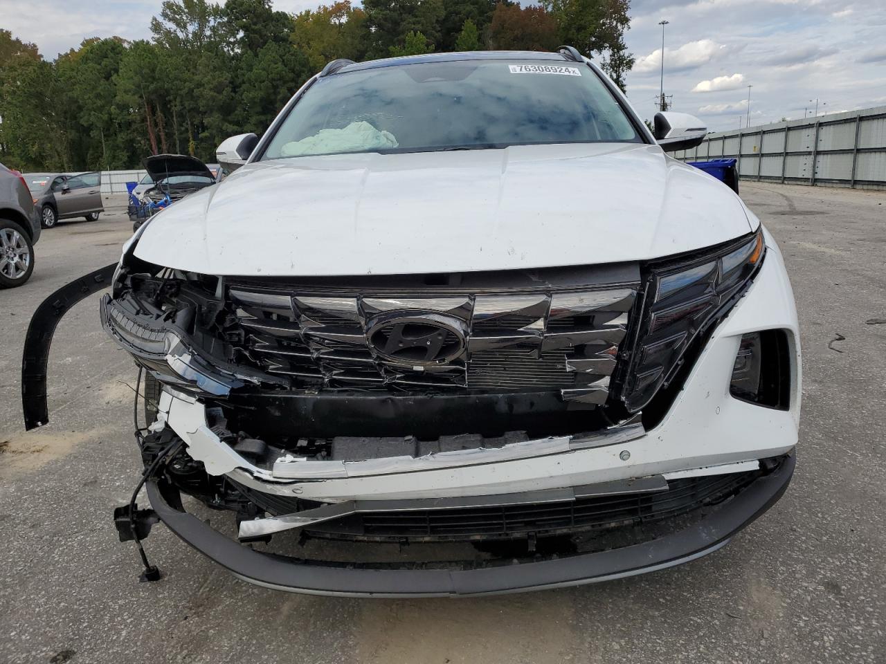 2024 HYUNDAI TUCSON LIMITED VIN:5NMJE3DE2RH369159