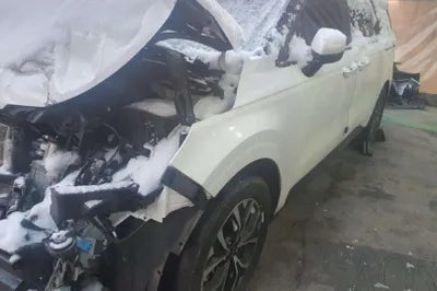 2021 Kia Carnival KNANB81BBMS037266 VIN:KNANB81BBMS037266