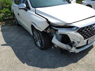 2019 Hyundai Santa FE KMHS581ABLU226176 VIN:KMHS581ABLU226176