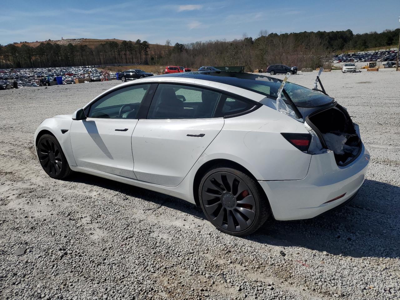 2023 TESLA MODEL 3  VIN:5YJ3E1ECXPF551216