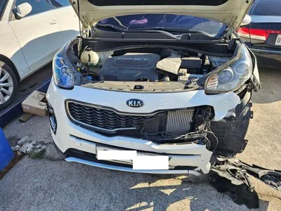2016 Kia Sportage KNAPN813BGK034007 VIN:KNAPN813BGK034007