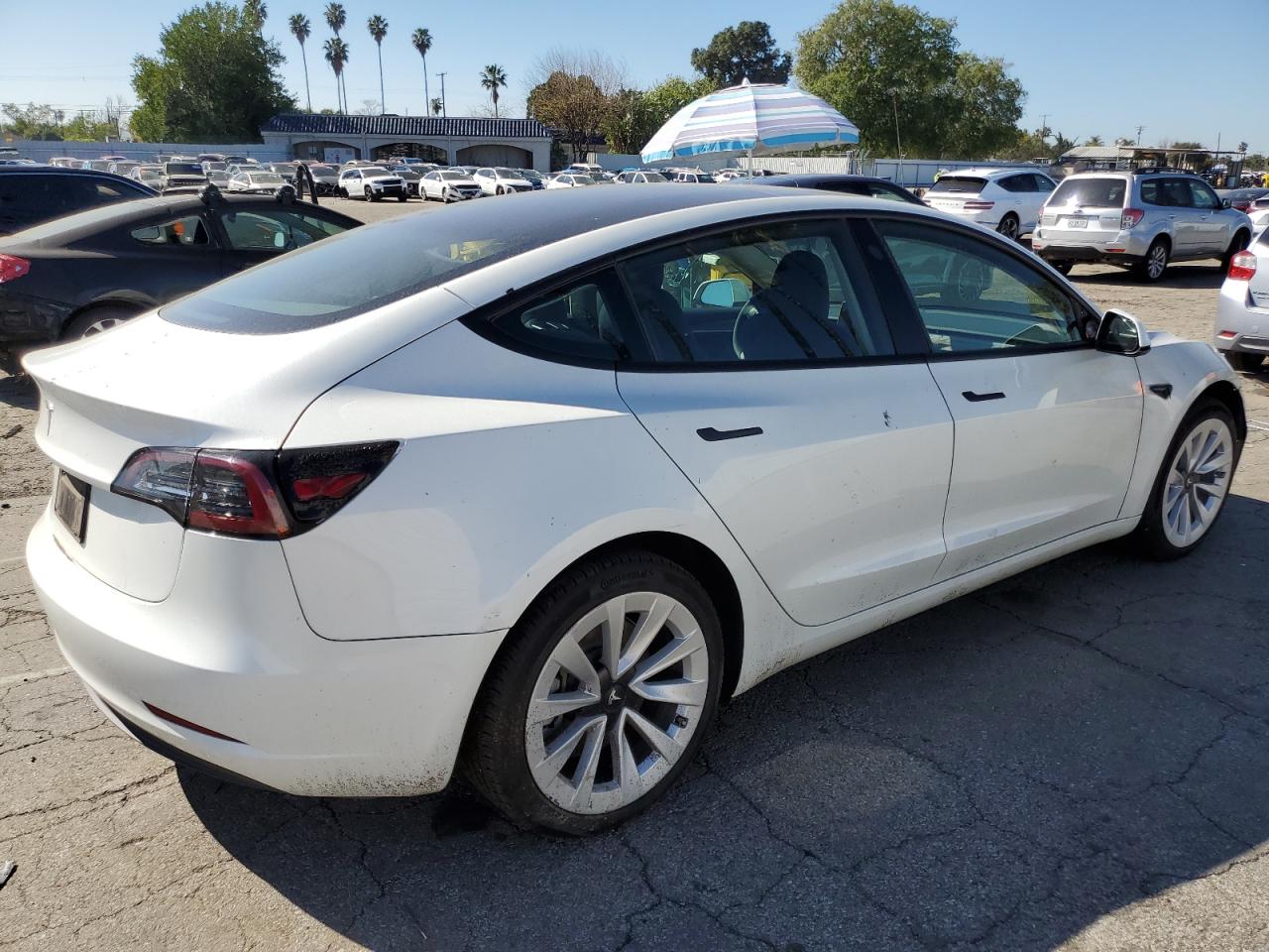 2023 TESLA MODEL 3  VIN:5YJ3E1EA4PF547581