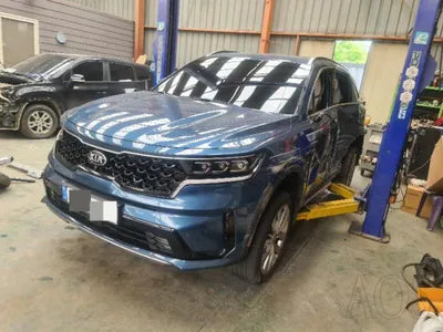 2021 Kia Sorento KNARH81BGMA087923 VIN:KNARH81BGMA087923