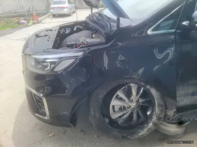 2020 Kia Carnival KNAME811BLS617207 VIN:KNAME811BLS617207