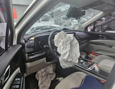 2021 Kia Carnival KNANC81BBMS017347 VIN:KNANC81BBMS017347