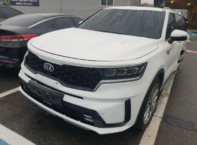 2021 Kia Sorento KNARH81FGMA090596 VIN:KNARH81FGMA090596