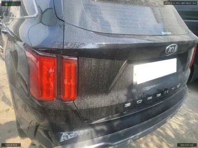 2020 Kia Sorento KNARL81BGMA004519 VIN:KNARL81BGMA004519