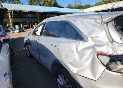 2020 Kia Sorento KNAPG81BBLA610348 VIN:KNAPG81BBLA610348
