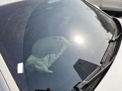 2022 BMW 530 WBA71BH0XNCK16176 VIN:WBA71BH0XNCK16176