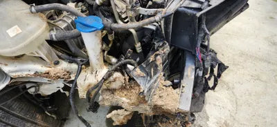 2019 Hyundai Kona VIN: