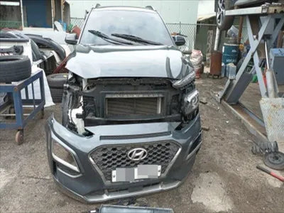 2019 Hyundai Kona KMHK4815GKU387758 VIN:KMHK4815GKU387758