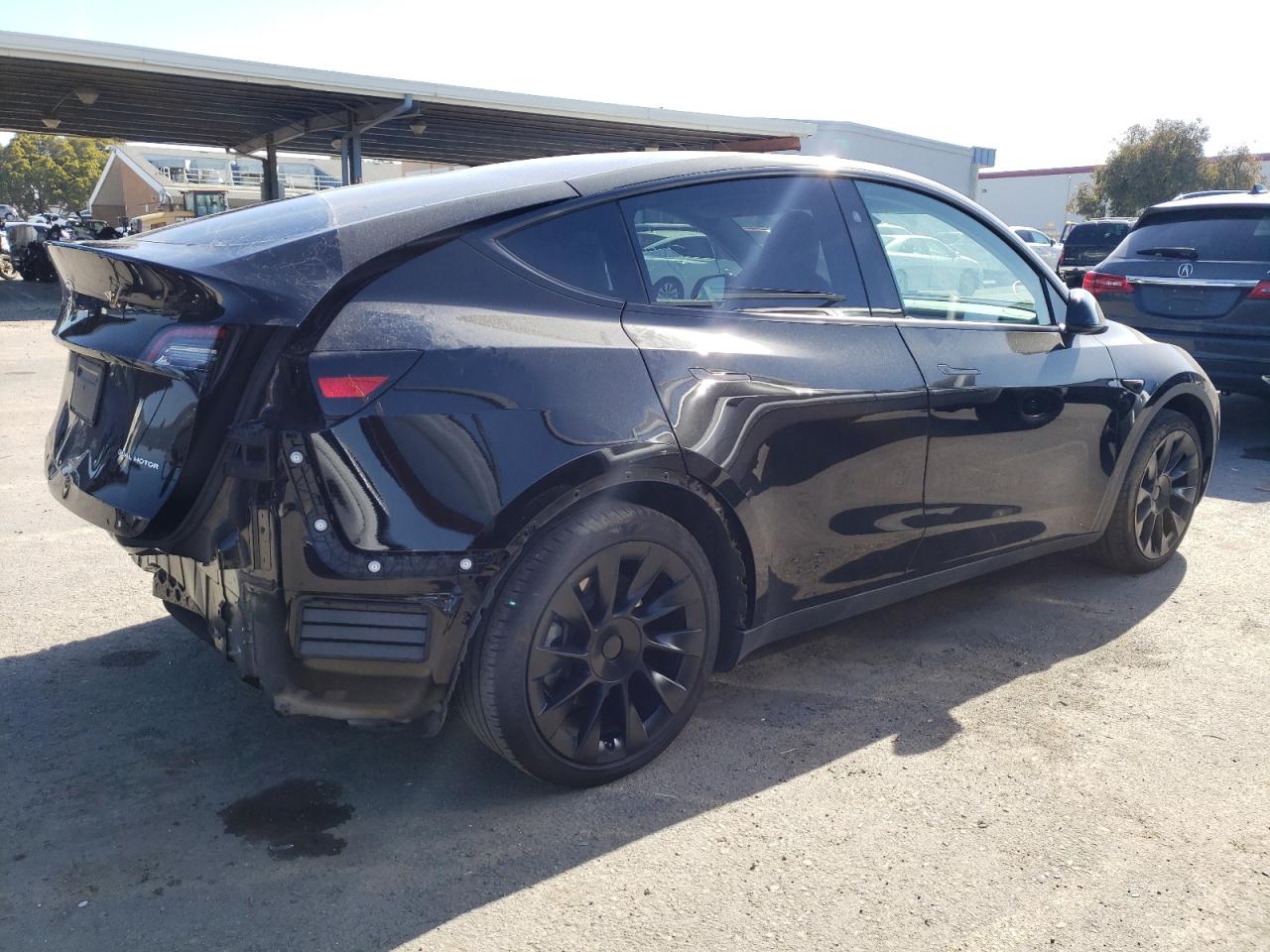 2023 TESLA MODEL Y  VIN:7SAYGAEE3PF814750