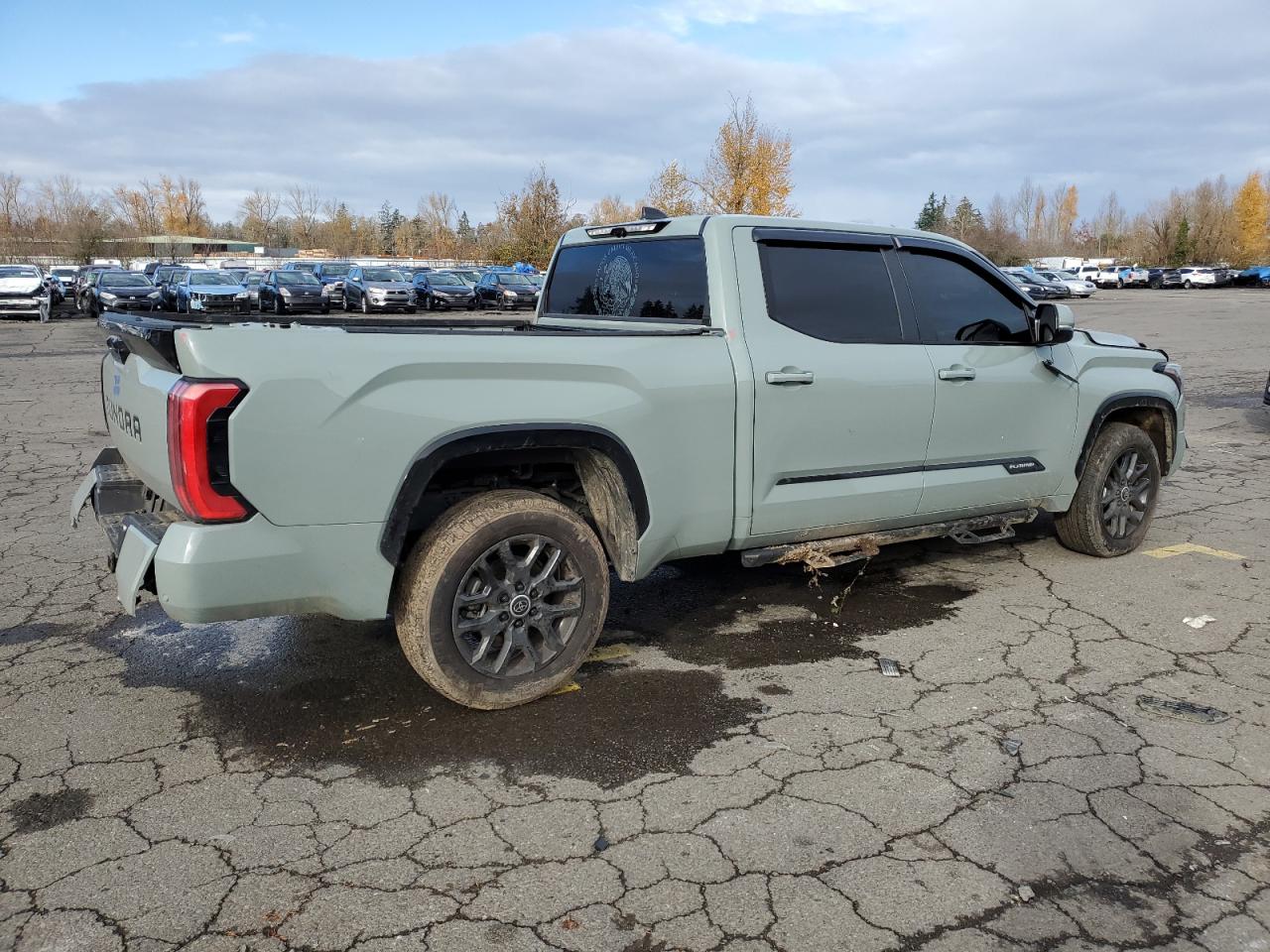 2024 TOYOTA TUNDRA CREWMAX PLATINUM VIN:5TFNA5EC9RX024966