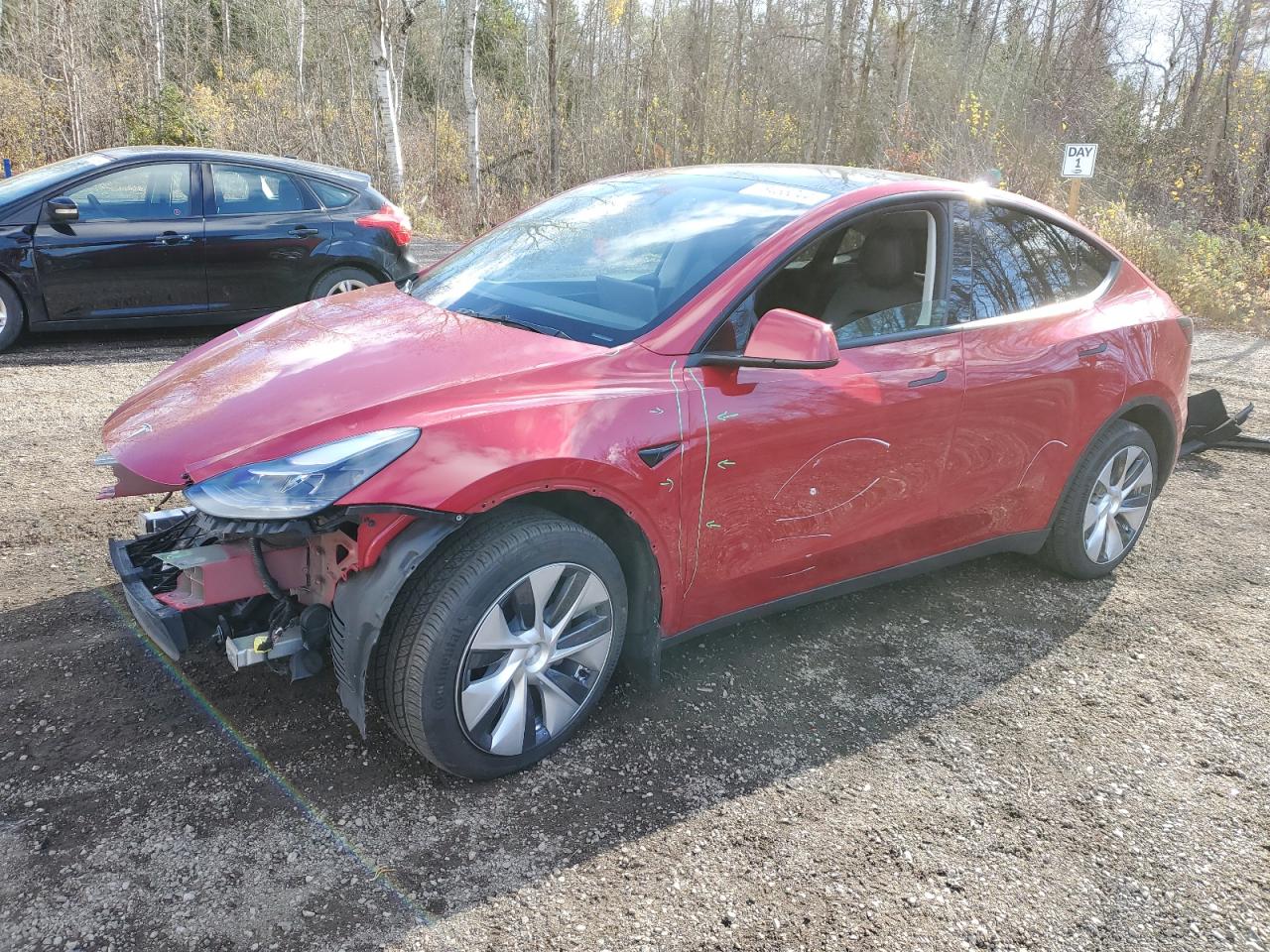 2022 TESLA MODEL Y  VIN:7SAYGDEE4NF544801