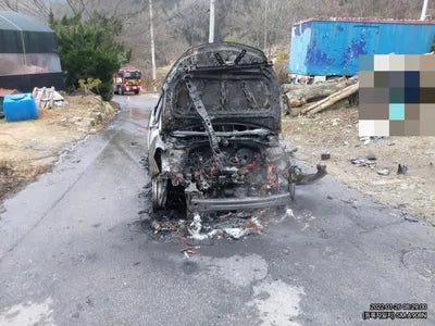 2017 Hyundai Santa FE KMHSW81UBJU806107 VIN:KMHSW81UBJU806107