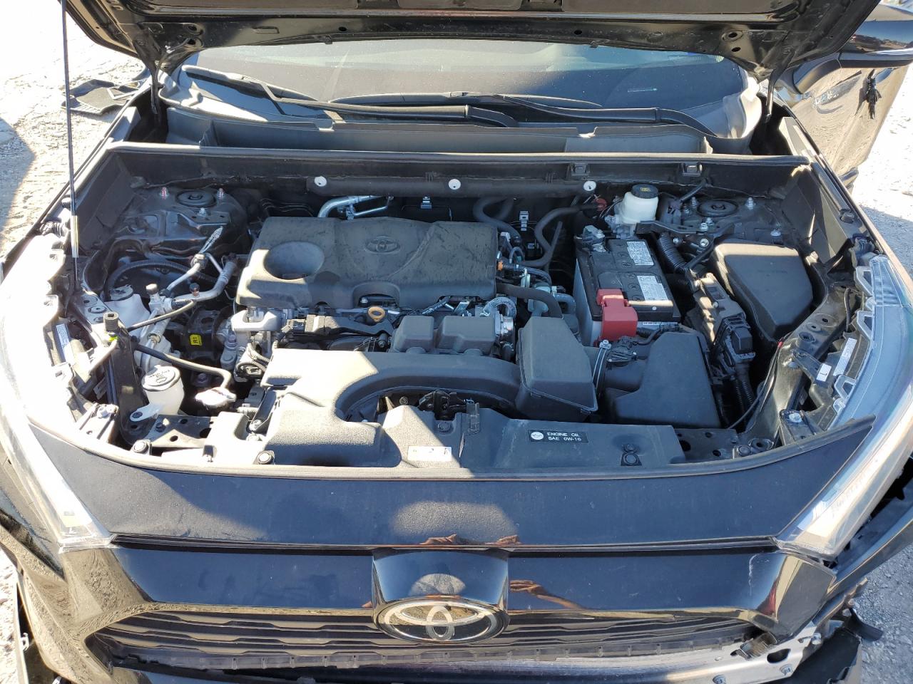 2022 TOYOTA RAV4 XLE VIN:2T3W1RFV4NW209176