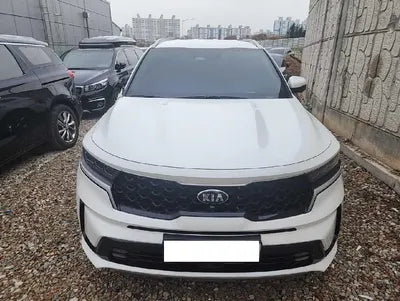 2021 Kia Sorento KNARH81BGMA053240 VIN:KNARH81BGMA053240